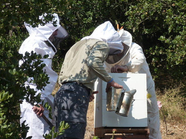 P1000207.JPG