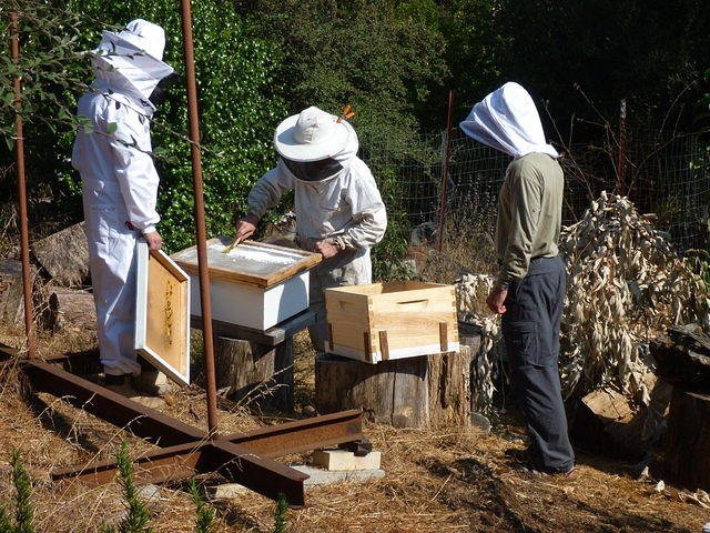 P1000232.JPG