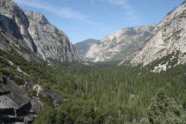 IMG_7040.JPG