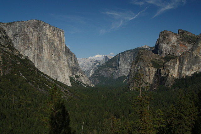 IMG_7393.JPG