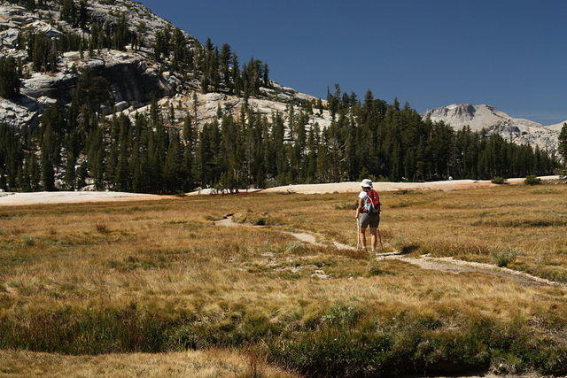 IMG_7457.JPG
