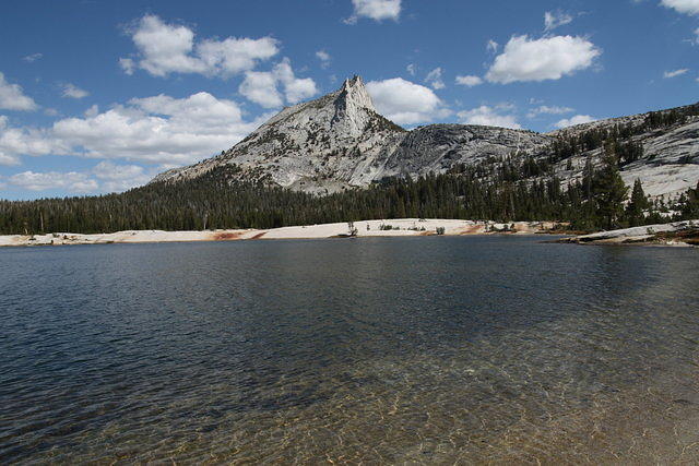 IMG_7481.JPG