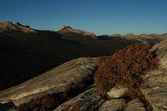 IMG_7621.JPG