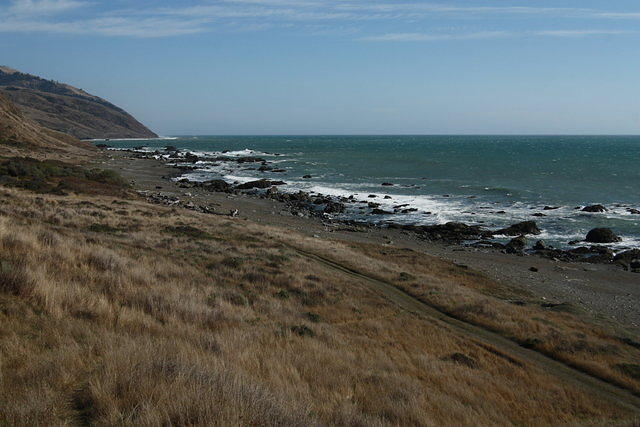 IMG_7684.JPG
