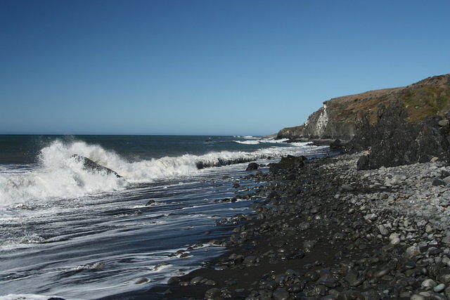 IMG_7850.JPG
