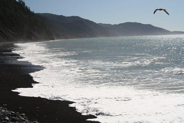 IMG_7890.JPG