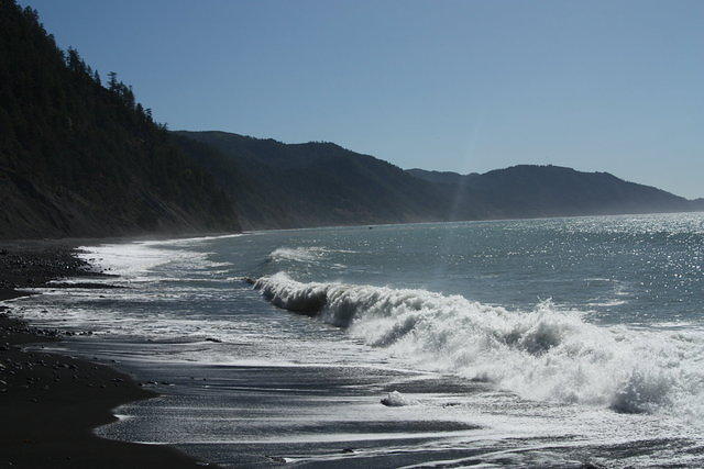 IMG_7894.JPG