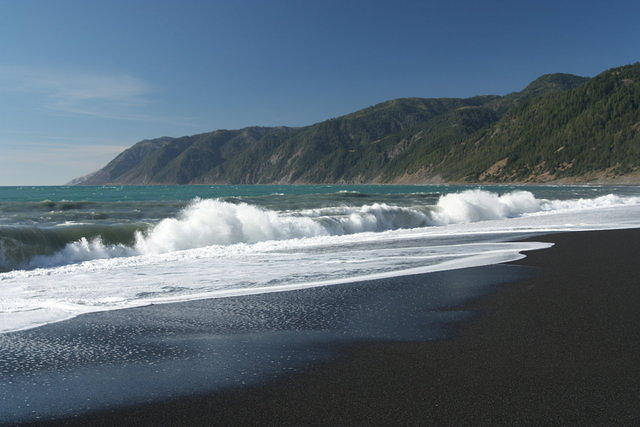 IMG_7970.JPG