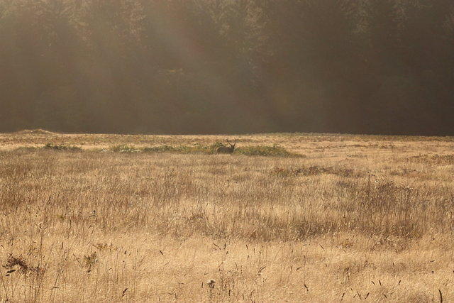 IMG_8113.JPG