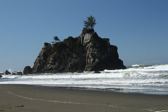 IMG_8240.JPG