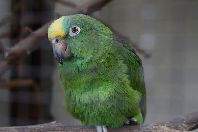 IMG_9295.JPG