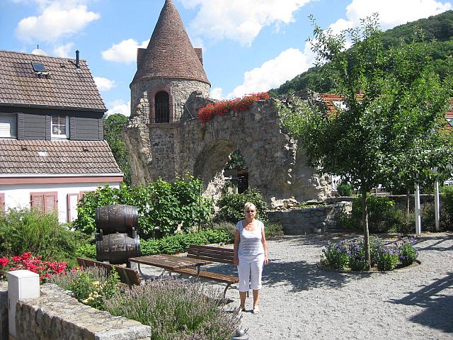 IMG 1645