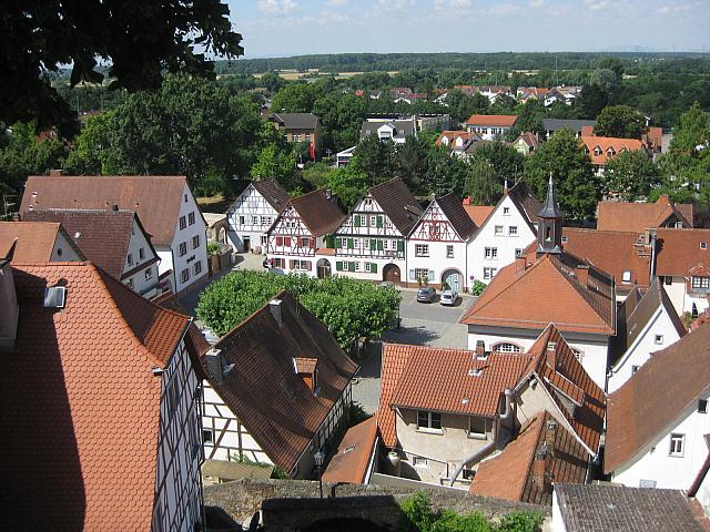 IMG 1646