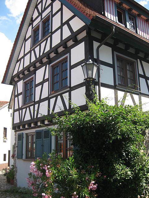 IMG 1654