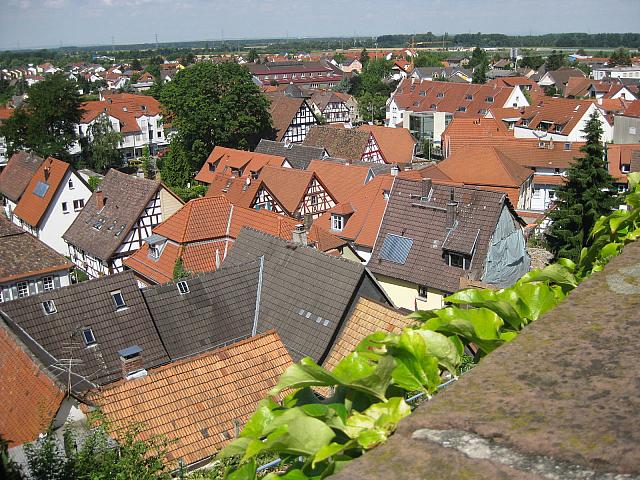 IMG 1656