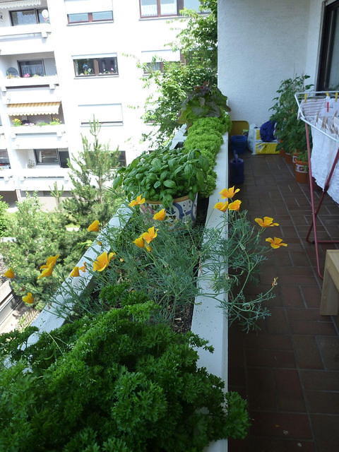 P1010277.JPG