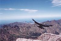corse05