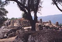 corse17