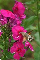 img_5077
