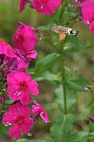 img_5078