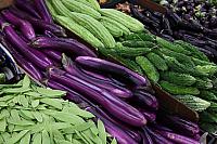 IMG_6901.JPG