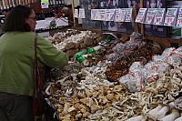 IMG_6904.JPG