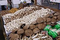 IMG_6916.JPG