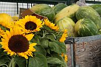 IMG_6940.JPG