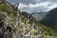 IMG_6960.JPG