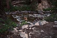 IMG_7116.JPG
