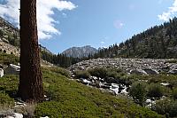 IMG_7146.JPG