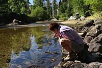 IMG_7244.JPG