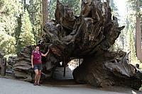IMG_7303.JPG