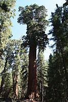 IMG_7309.JPG