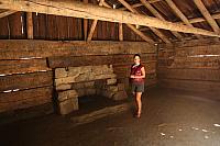 IMG_7322.JPG