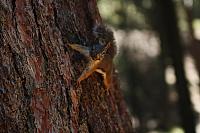 IMG_7362.JPG