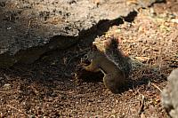 IMG_7379.JPG
