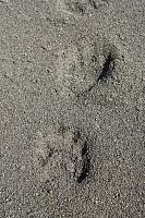 IMG_7804.JPG