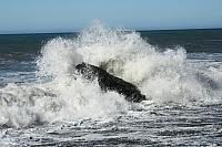 IMG_7846.JPG