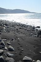 IMG_7867.JPG
