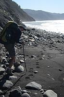 IMG_7868.JPG