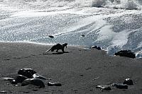 IMG_7878.JPG