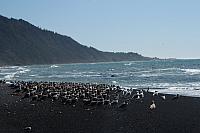 IMG_7905.JPG