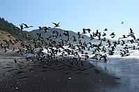 IMG_7915.JPG