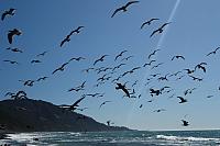 IMG_7919.JPG