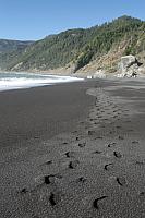 IMG_7955.JPG