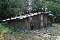 IMG_8019.JPG