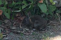 IMG_8046.JPG