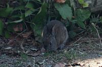 IMG_8048.JPG
