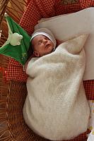 IMG_0699.JPG